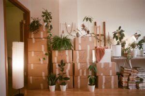 Room filled with neatly stacked packed boxes and plants.