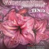 Womanition Magazine 2024
